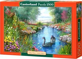 Castorland Черные лебеди
