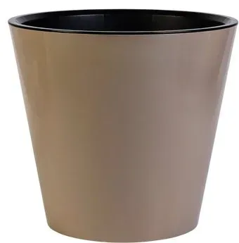 Sima-Land Rosemary 10893641