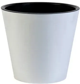 Sima-Land Rosemary 10893644