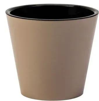 Sima-Land Rosemary 10893643
