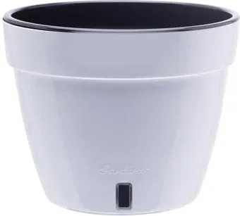 Santino Asti AST180WHT/BL (белый/черный)