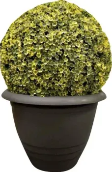 GardenPlast Примула (графитовый)