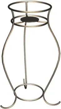 Лиана Волна
