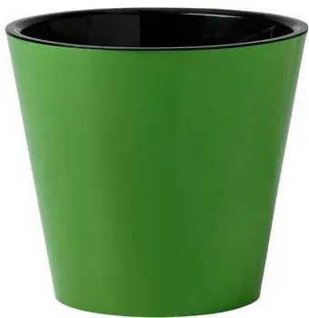 Sima-Land Rosemary 10893639