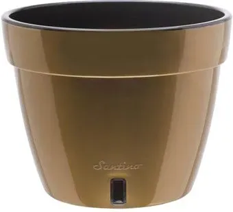 Santino Asti AST150GLD/BL двойной (золото/черный)