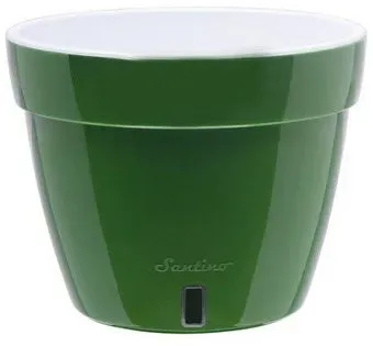 Santino Asti AST150GG/WHT (зеленое золото/белый)