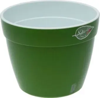 Santino Asti AST120GG/WHT (зеленое золото/белый)