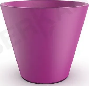 Berkano Cone 50 (фиолетовый)