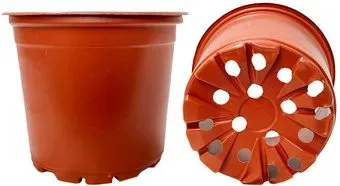 GreenTerra 13x10.5 см (1 л, 100 шт)