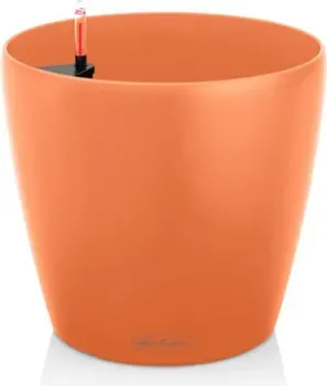 Lechuza Classico Color 35 All-in-One Set 13228 (манго)