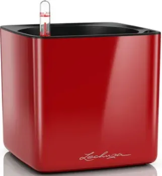 Lechuza Cube Glossy 16 13522 (красный)