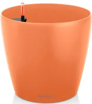 Lechuza Classico Color 21 All-in-One Set 13188 (манго)
