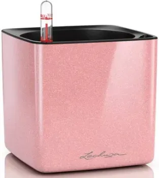 Lechuza Cube Glossy Kiss 13515 (кремовый блестящий)