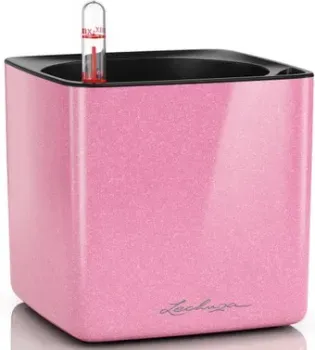 Lechuza Cube Glossy Kiss 13513 (нежно-розовый)