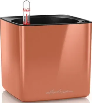 Lechuza Cube Glossy 14 13517 (золотой)