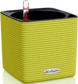 Lechuza Cube Color 16 13585 (фисташковый)