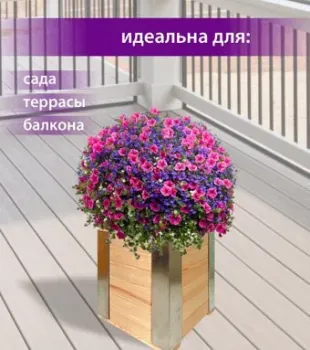 БСМ БСМ0025.03 (натуральный)