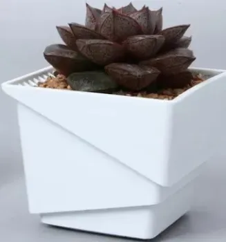 Botanica Air (7.35x6.5см, белый)
