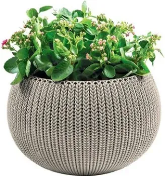 Keter Cozy M (капучино)