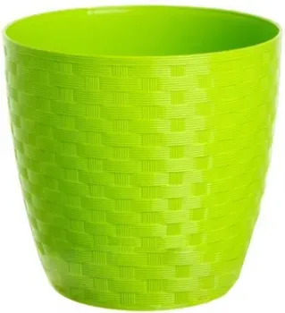 BigPlast Stars Ratan 38791 (салатовый)