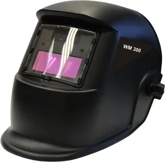 Wert WM 300