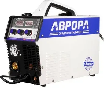 Аврора Динамика 185 Синергетик
