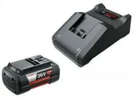 Bosch F016800621 (36В/2 Ah + 36В)