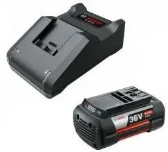 Bosch F016800636 (36В/6 Ah + 36В)