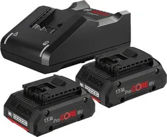 Bosch ProCORE Professional 1600A01BA3 (18В/4 Ah + 14.4-18В)