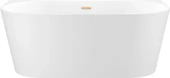 Wellsee Excellence Pro 180x80 28760404R (пристенная ванна белый глянец, экран, ножки, сифон-автомат золото)