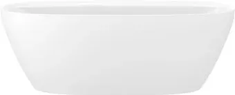 Wellsee Pro Line 170x80 28750103R (отдельностоящая ванна белый глянец, экран, ножки, сифон-автомат матовый черный)