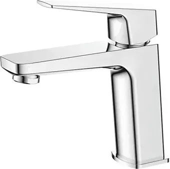 Ledeme L1081