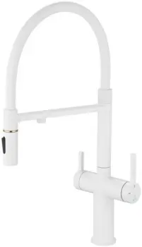 Rose R458C
