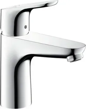 Hansgrohe Focus 31513000