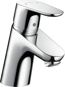 Hansgrohe Focus 31952000