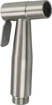 Potato P36S
