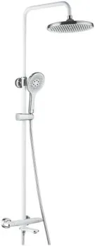 Rose R3996F