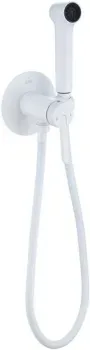 Rose R235C