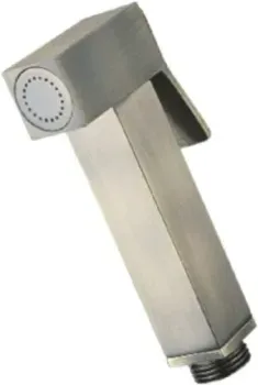 Potato Р37-3