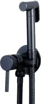 Hansen 62205C