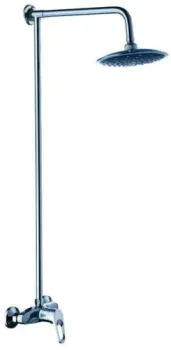 Potato B35-028