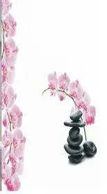Primanova Orchid DR-50027