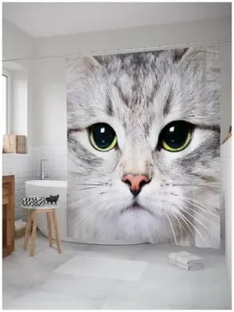 JoyArty Суровый котик sc_2736
