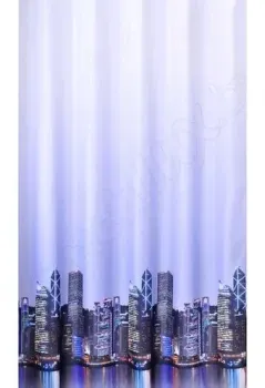 IDDIS 210P24RI11