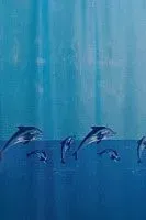 Miranda Whale