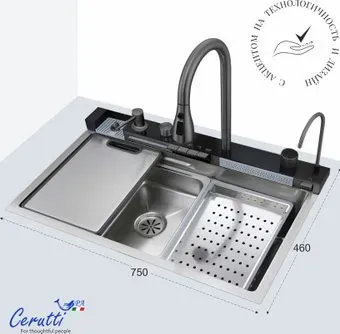 Ceruttispa ct11888