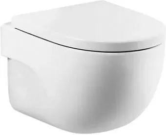 Roca Meridian Compact Rimless 346244000 (без сиденья)