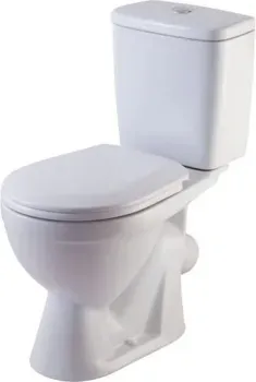 Rosa Лира белый