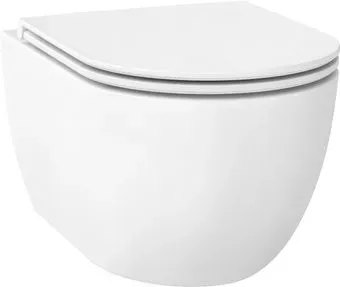 Wellsee Chalice Perfection RimFree 182608001 (чаша, пневмокрышка, матовый белый)