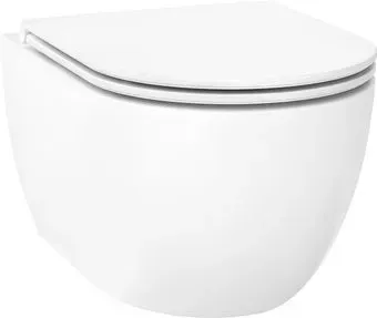 Wellsee Chalice Perfection RimFree 182607001 (чаша, пневмокрышка, глянцевый белый)